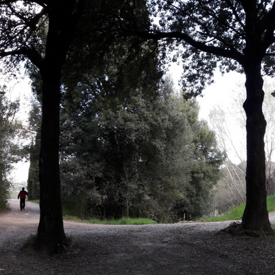 Da San Giovanni d'Asso a Monte Oliveto M 1